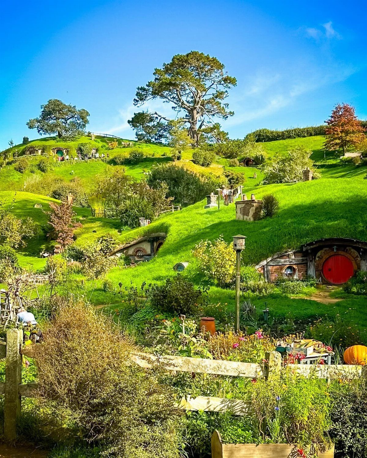 Green rolling hills with round-doored hobbit holes and a large tree under blue sky