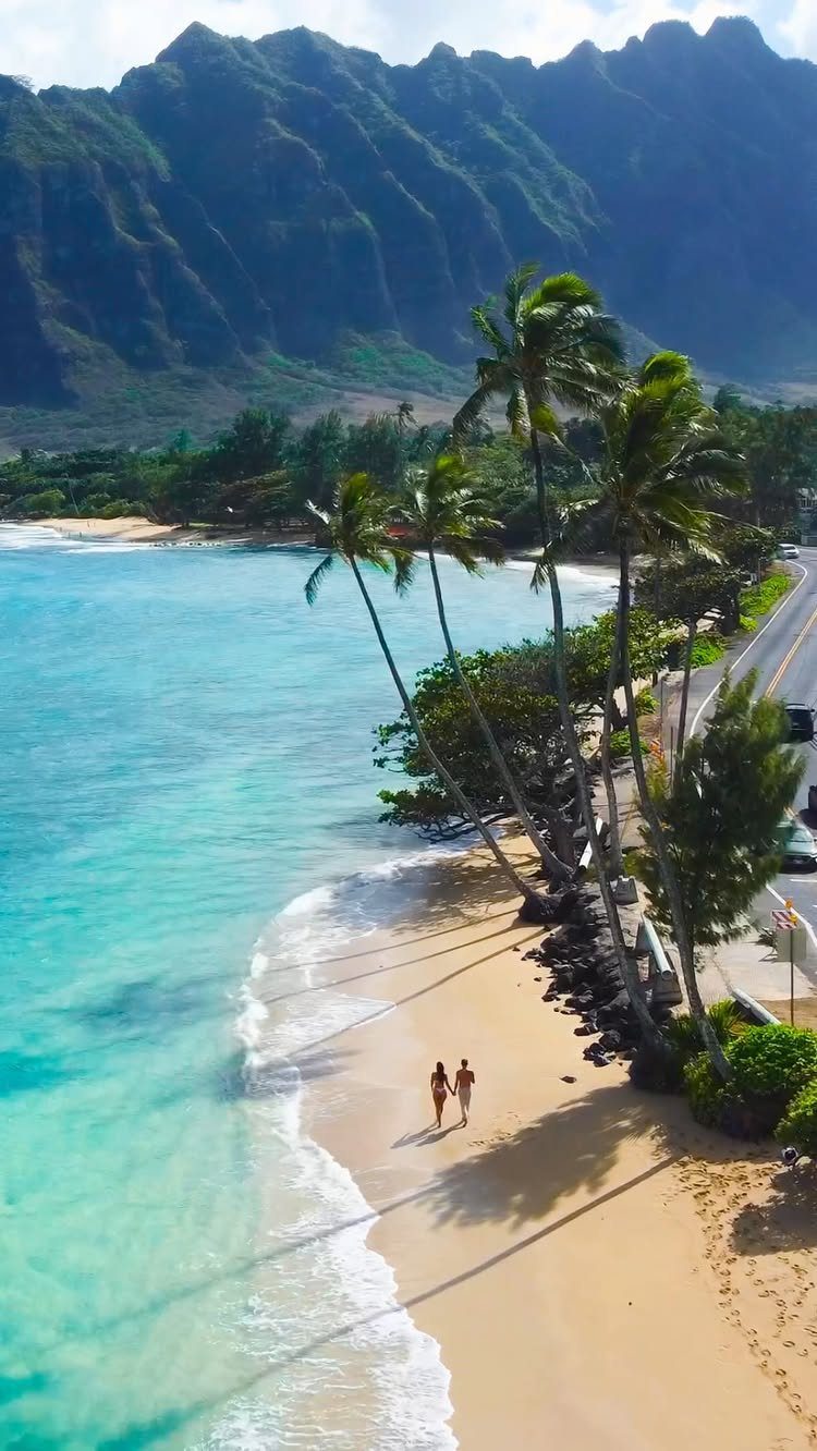 White sandy beach with turquoise water and tall palm trees against green mountains.