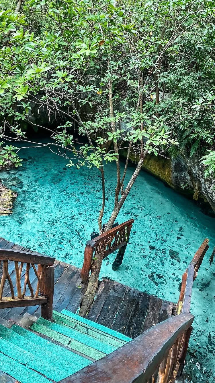 Turquoise cenote pool with wooden stairs surrounded by dense green tropical jungle foliage.