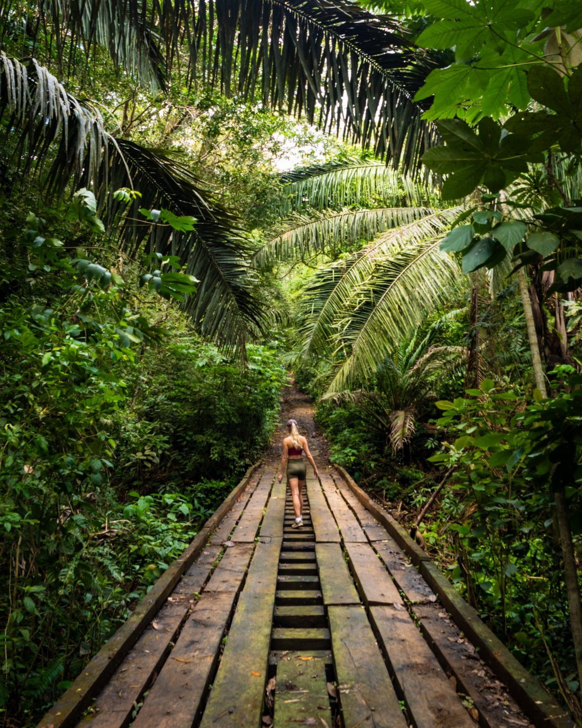 Woman walking on a wooden boardwalk through a lush tropical jungle forest
