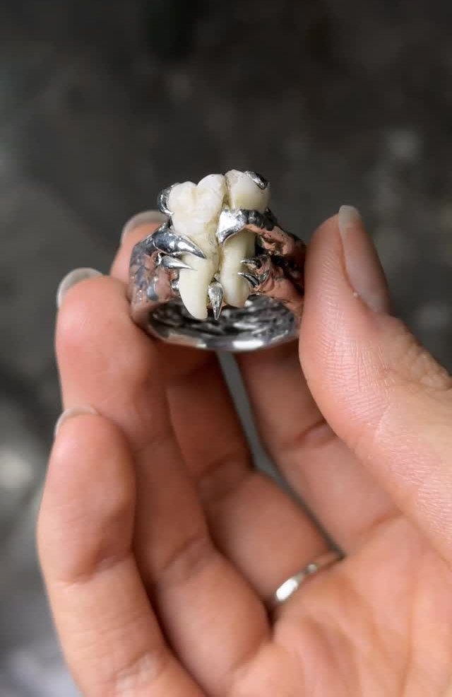 Silver ring with a human tooth centerpiece held by metal claws on a hand