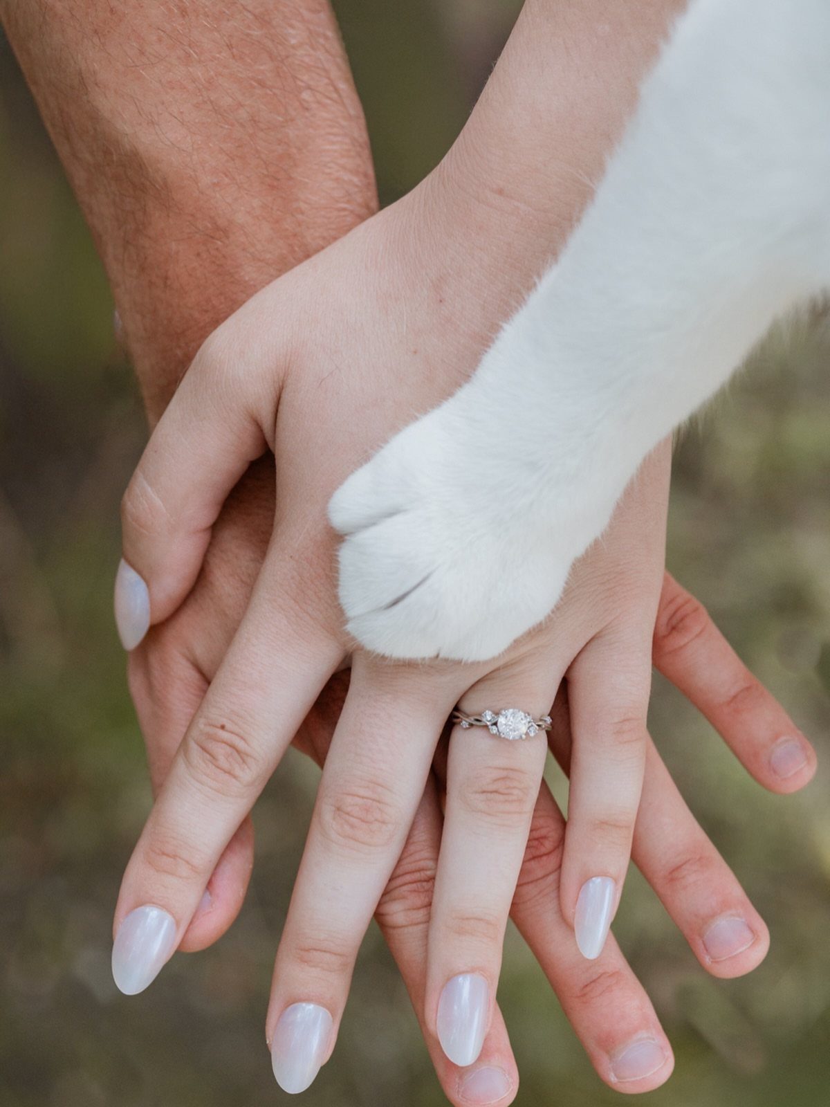 Stacked hands of a couple with a white pet paw resting on top.