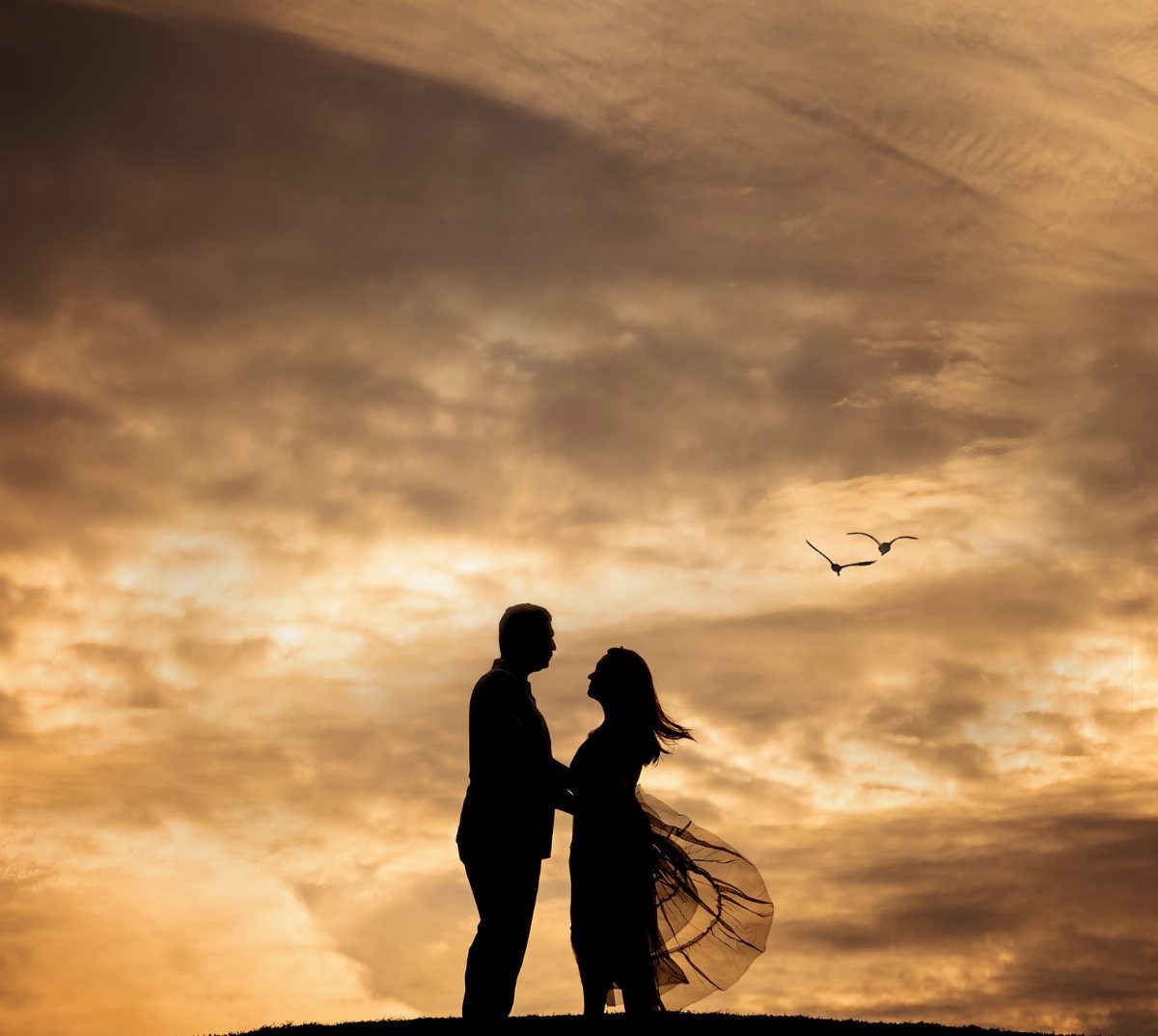 Silhouette of a couple facing each other against a golden sunset sky with birds.