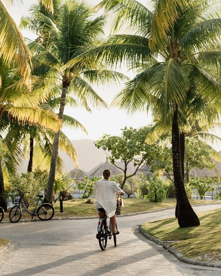 Person in white dress riding a bicycle through a tropical palm tree resort