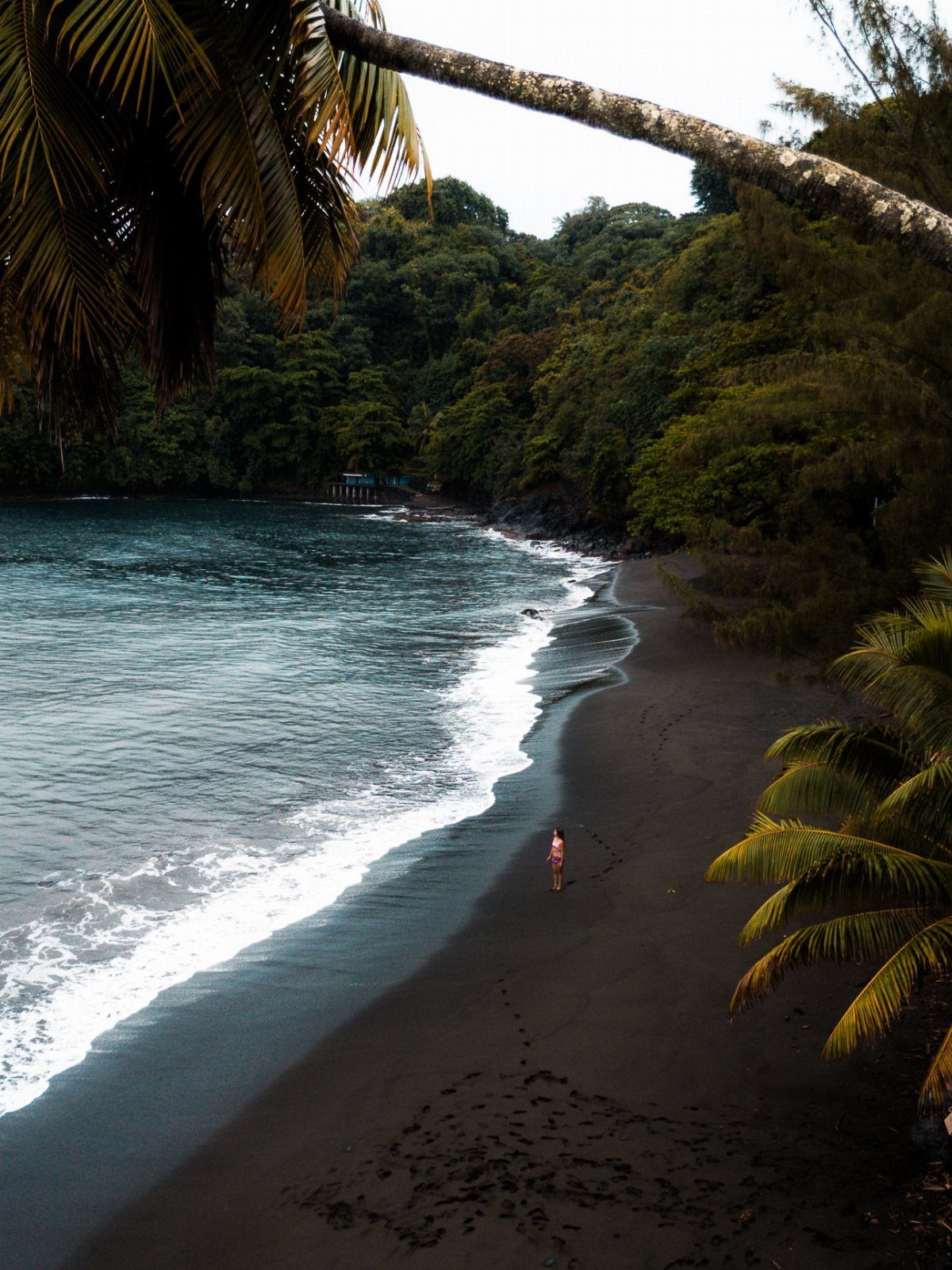 Black sand beach with white waves and lush tropical greenery in French Polynesia.