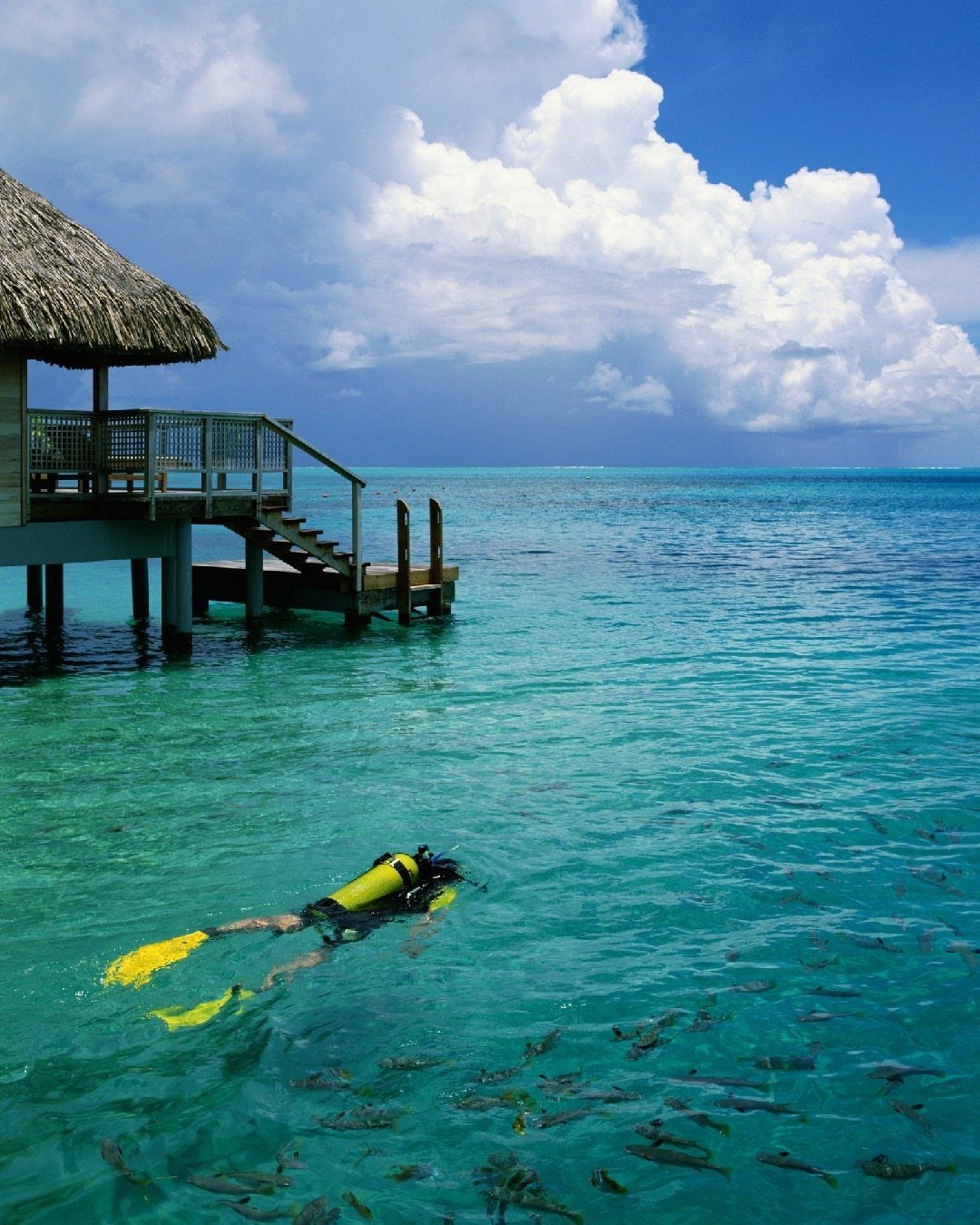 Snorkeler with yellow fins swimming in turquoise water near an overwater bungalow