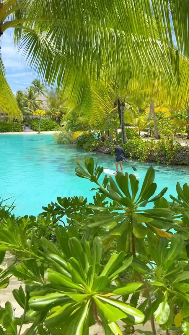 Person paddleboarding in a turquoise lagoon framed by tropical green palm leaves
