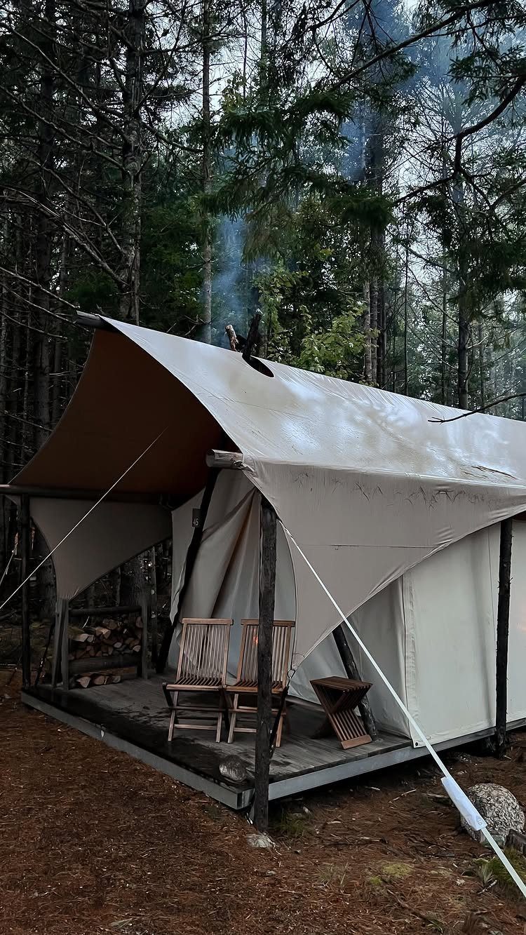 White canvas glamping tent with wooden chairs set in a dense evergreen forest.