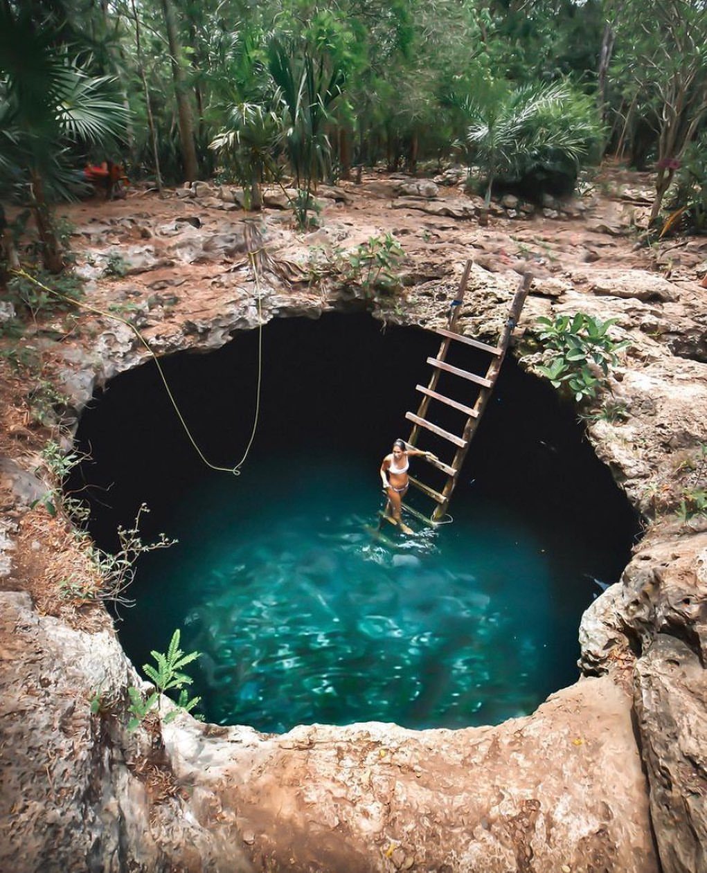 Person standing in a turquoise cenote sinkhole surrounded by tropical jungle greenery