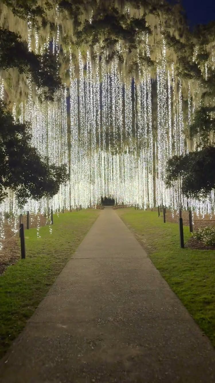 Paved walkway under a canopy of hanging white fairy lights and mossy trees