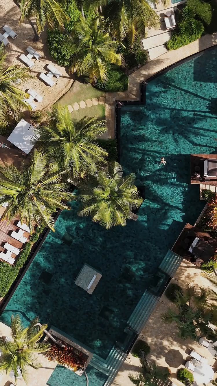 Luxury resort swimming pool surrounded by tropical palm trees and white lounge chairs.