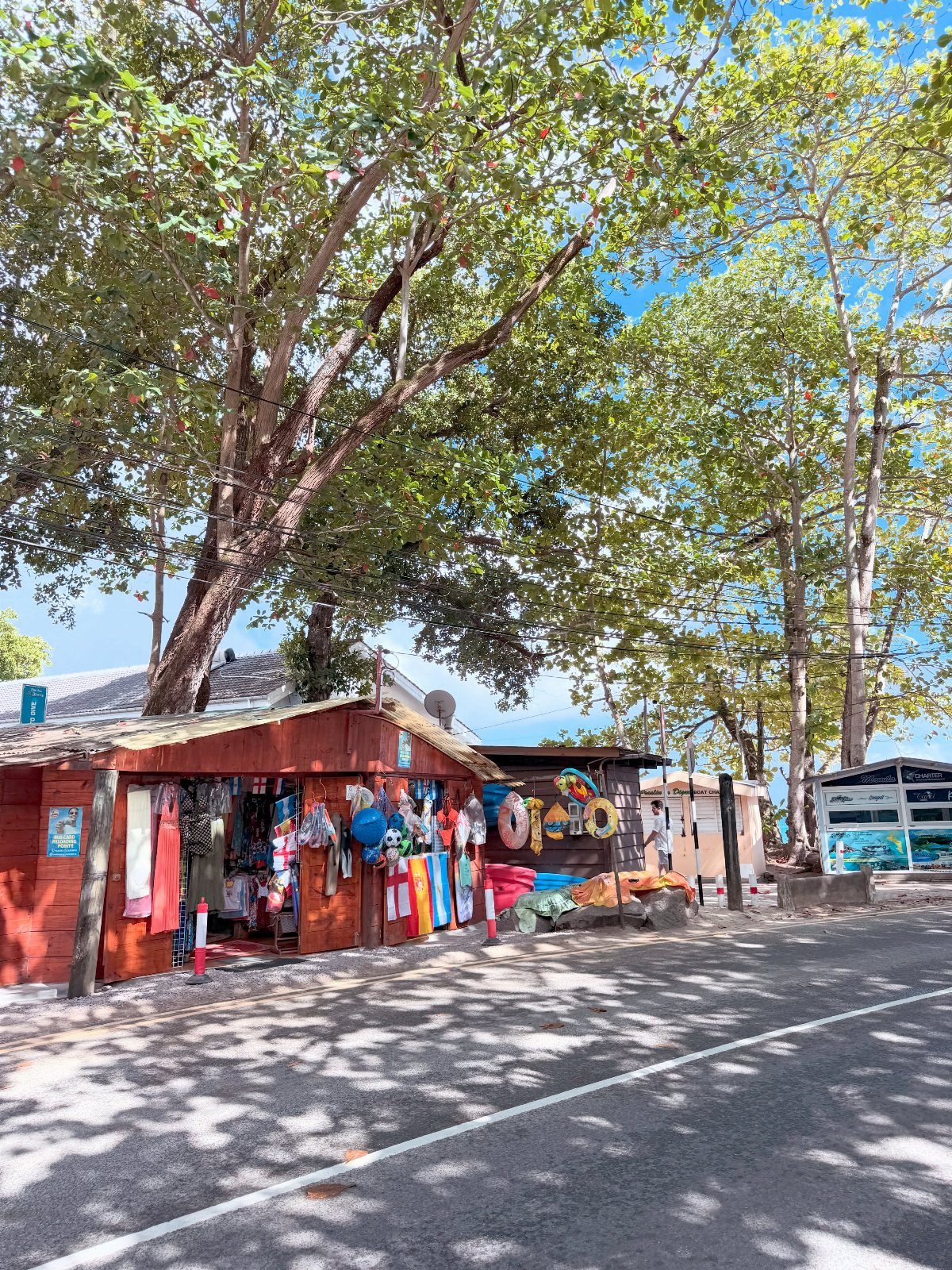 Wooden roadside souvenir shop with colorful merchandise under large green shade trees.