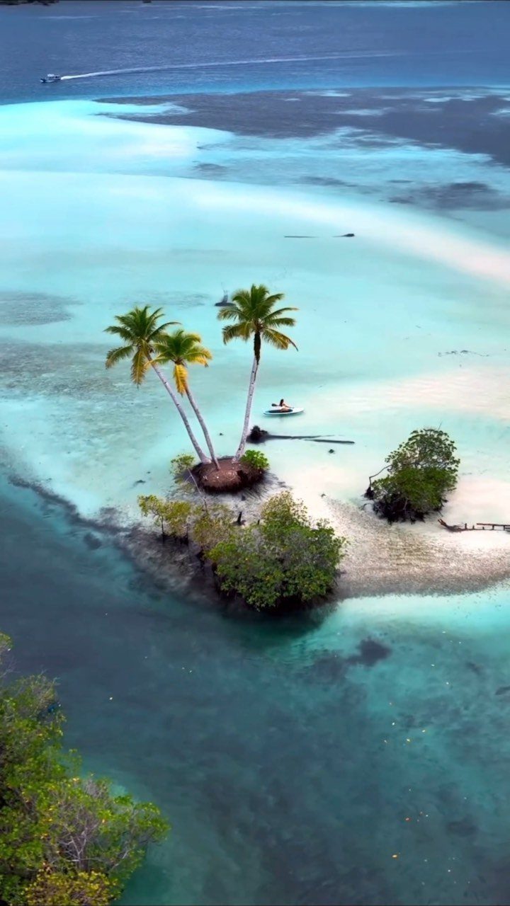 Tiny tropical island with palm trees surrounded by turquoise ocean water and boats.
