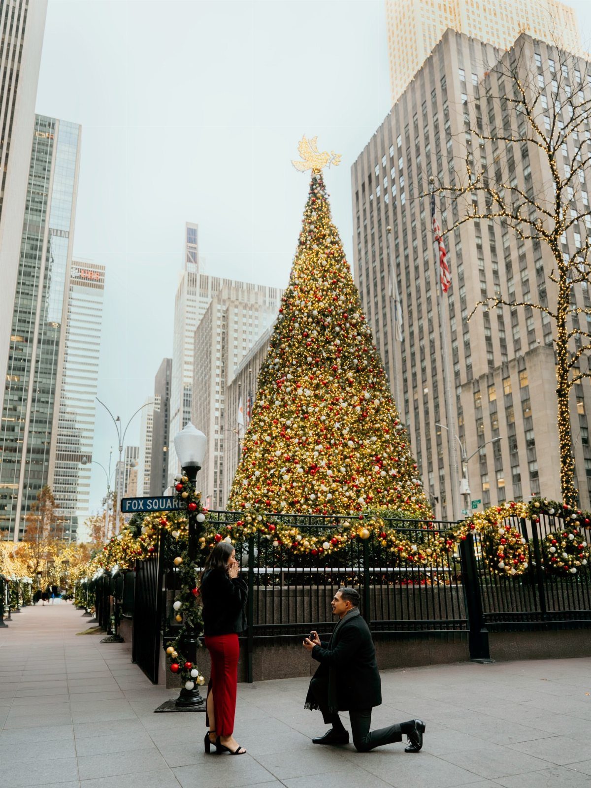 Man proposing to woman in red dress in front of a giant Christmas tree.