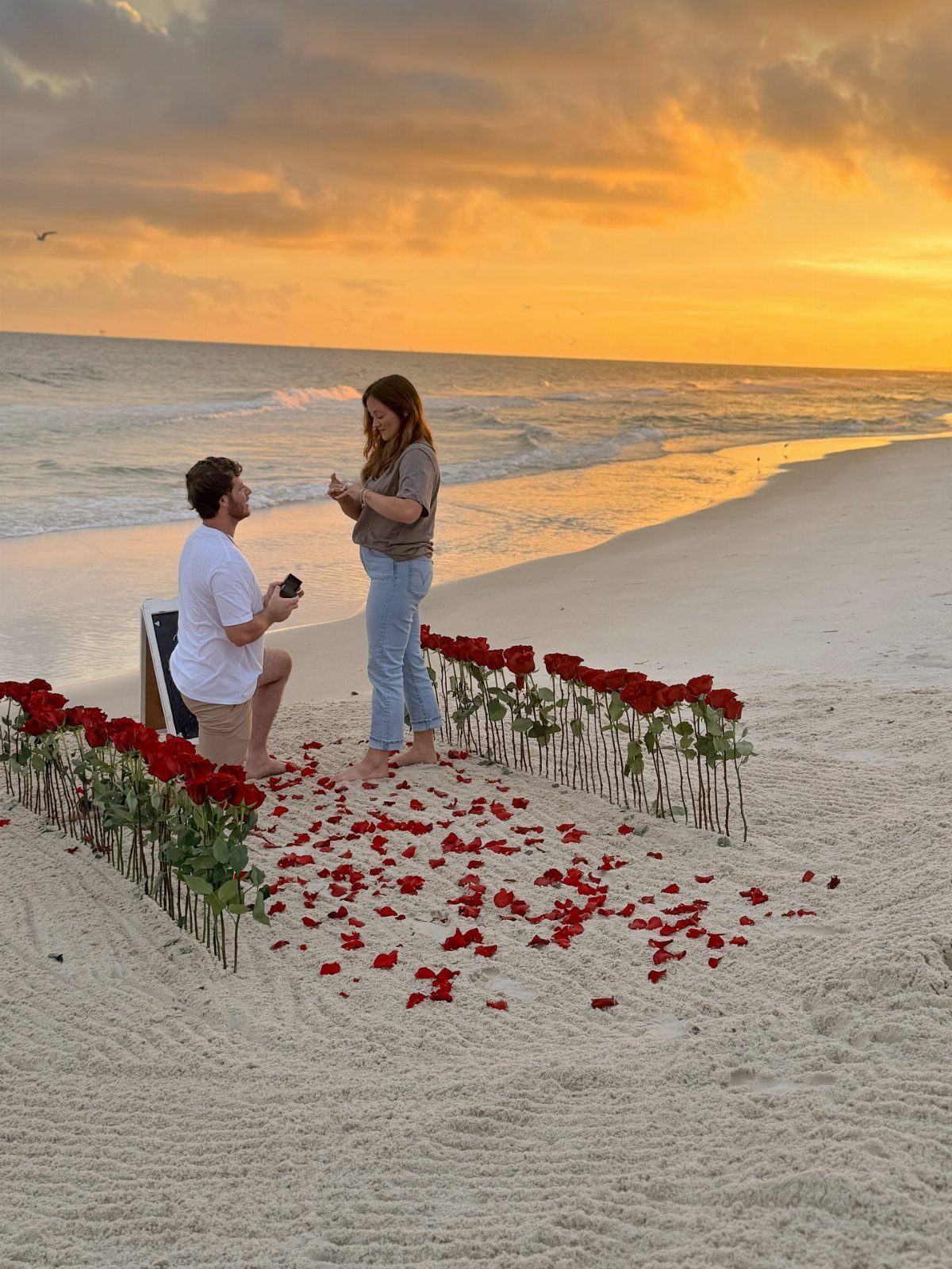 Man proposing to a woman on a beach with rose petals and sunset.