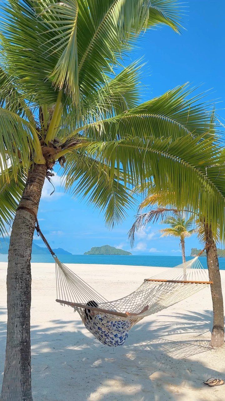Person relaxing in a white hammock between palm trees on a tropical beach