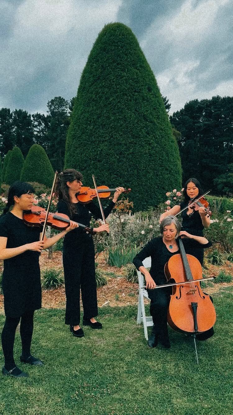 Four musicians in black playing violins and a cello on a green lawn.