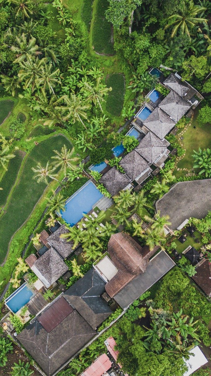 Luxury resort villas with private pools surrounded by tropical jungle and rice terraces.