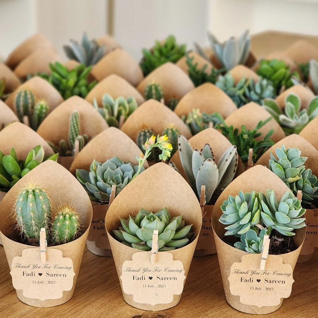 Small succulents and cacti in brown paper pots with personalized thank you tags.