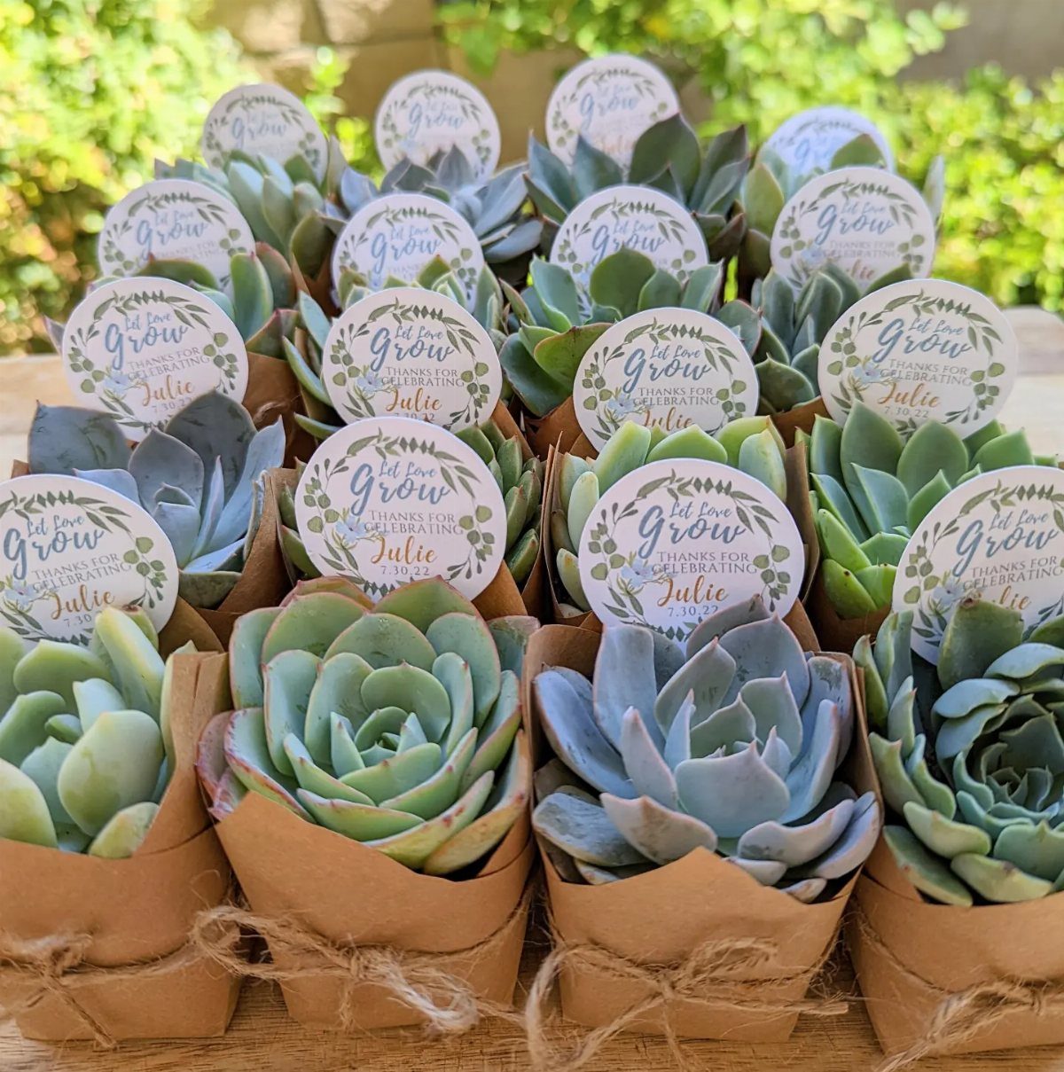 Mini succulents in brown paper wraps with personalized tags on a wooden table